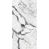 Les Bijoux de Rex Calacatta Altissimo Blanc Gloss 60x120 см