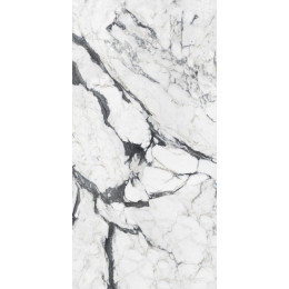 Les Bijoux de Rex Calacatta Altissimo Blanc Gloss 60x120 см