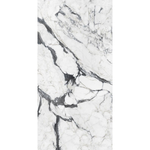 Les Bijoux de Rex Calacatta Altissimo Blanc Gloss 60x120 см