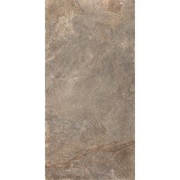 Ardesie Taupe 60x120 см