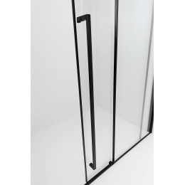 Душевая дверь TDSS-120/03C-8L, раздвиж 1200*2000, проф черный + торцевое стекло TSS-1000/03C-8 1000*2000, проф черный