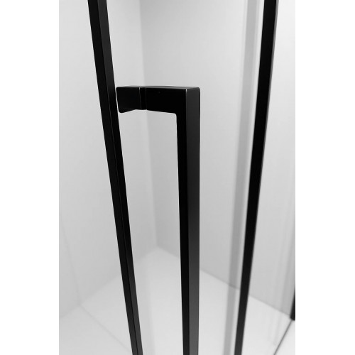 Душевая дверь TDSS-120/03C-8L, раздвиж 1200*2000, проф черный + торцевое стекло TSS-1000/03C-8 1000*2000, проф черный