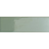 Bits Kale Gloss 3,7x11,6 см