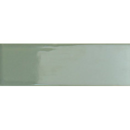 Bits Kale Gloss 3,7x11,6 см