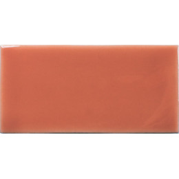 Fayenza Coral 6,2x12,5 см