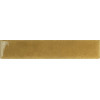 Nouvelle Dijon Gloss 3x16 см