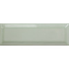 SAGE BEVEL