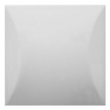 Essential (40)