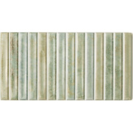 POTTERS BARS AGAVE