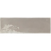 REBELS GREY GLOSS