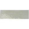 REBELS SAGE GLOSS