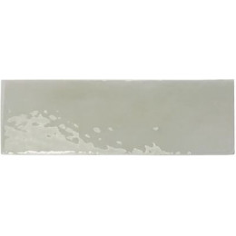 REBELS SAGE GLOSS
