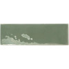 REBELS MOSS GLOSS