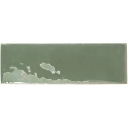 REBELS MOSS GLOSS