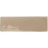 REBELS TOPO GLOSS