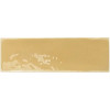 REBELS MUSTARD GLOSS